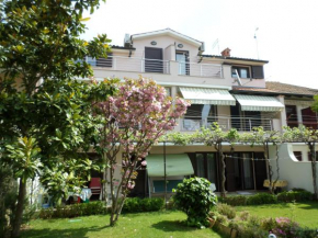 Kamelija